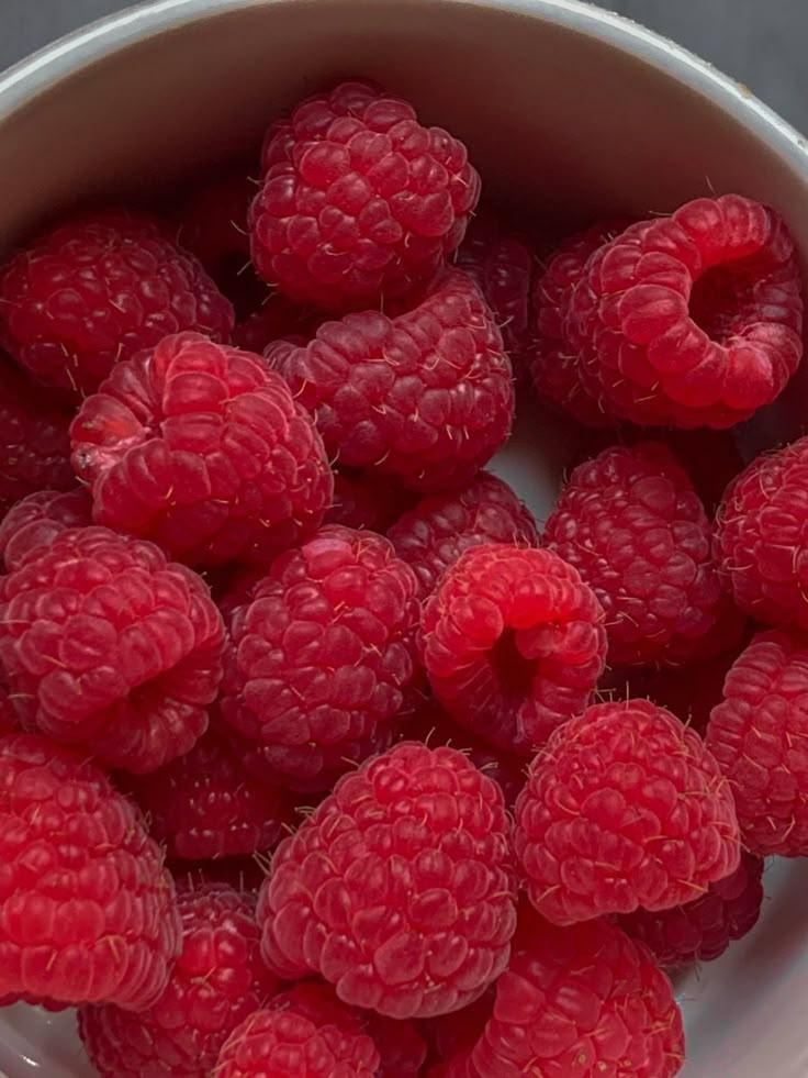 Orchard Bounty: Fresh-Picked Daily Delights